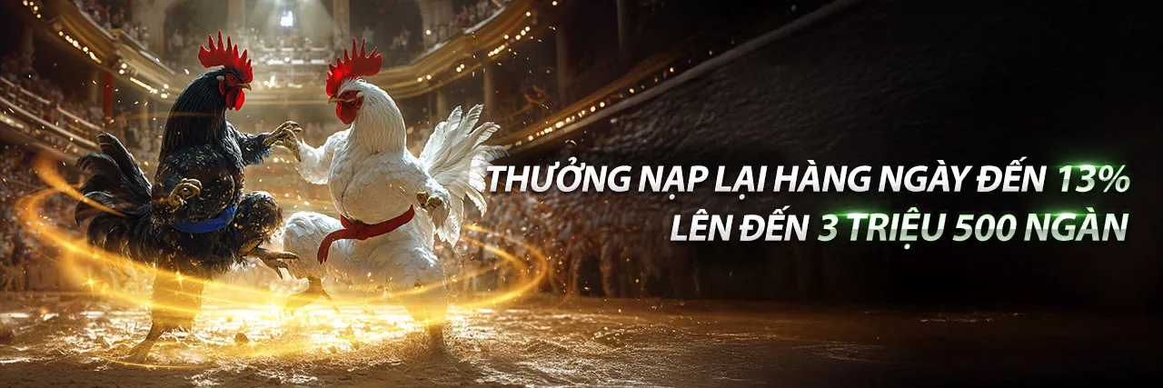 Đá gà cựa dao Singapore tại Good88